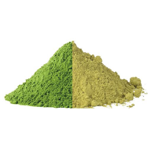 Matcha vs. Green Tea Powder: Some Key Differences You Need to Know