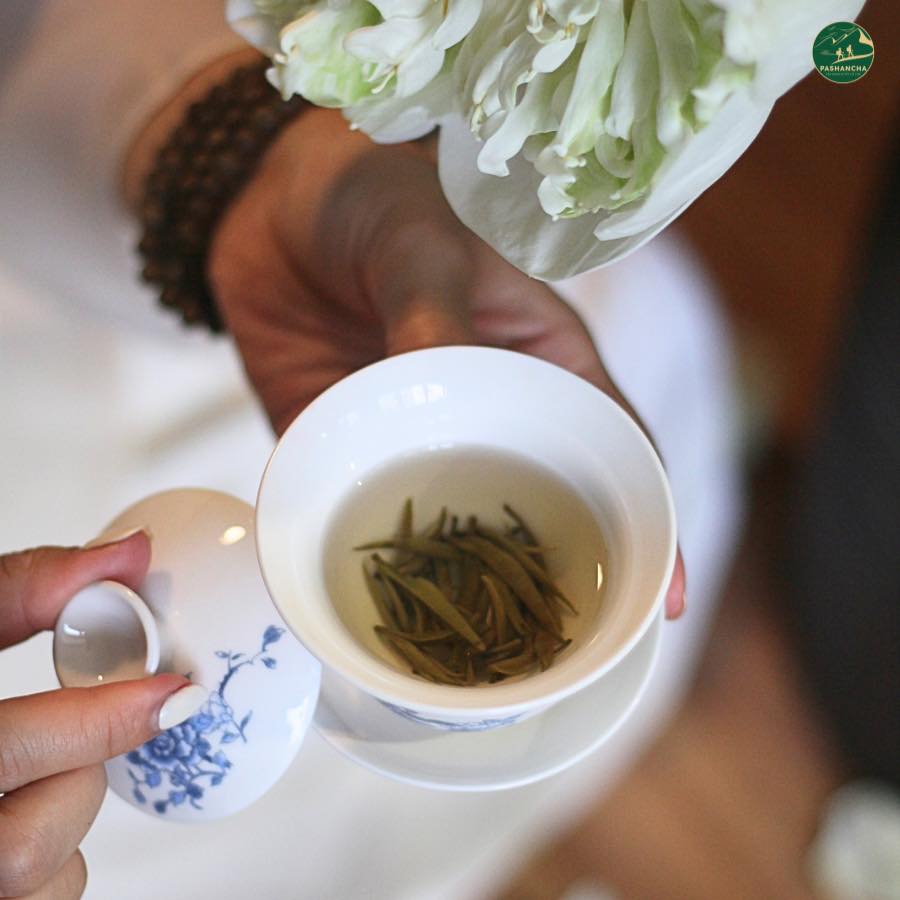 A Beginner’s Guide to Tea: Types, Flavor Profiles, and Brewing Secrets