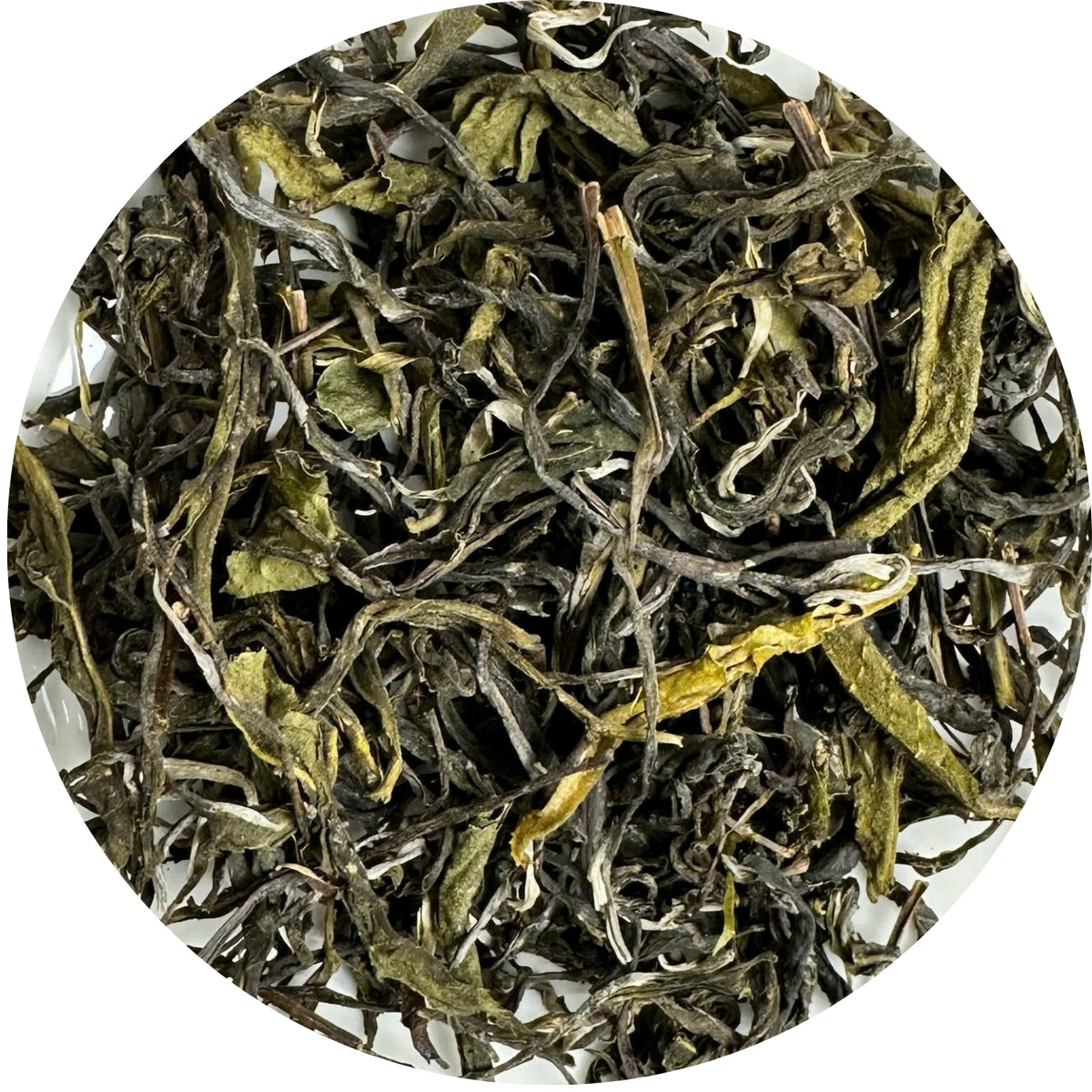 High Moutain Shan Snow Green Tea